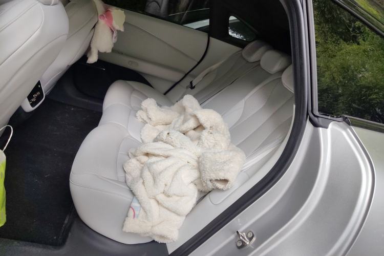 Used XPeng P7+ 2024 Long-Range Max Left Rear Seat