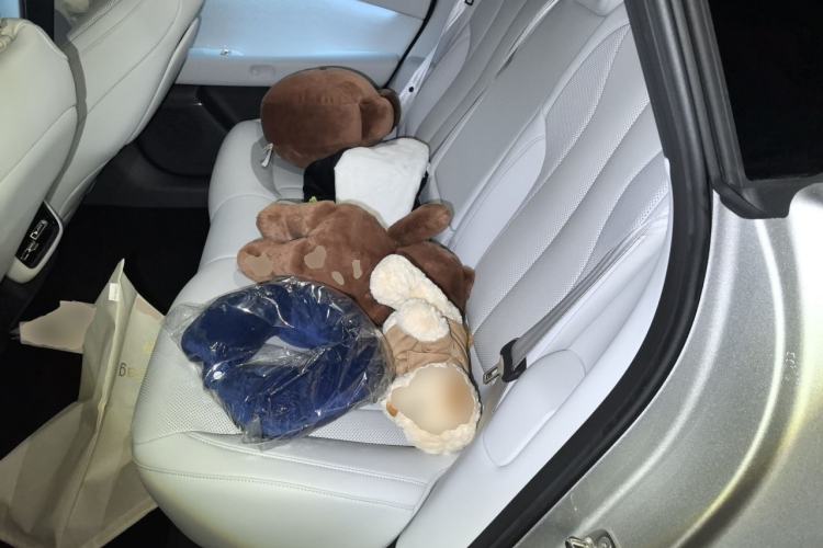 Used XPeng P7+ 2024 Long-Range Max Left Rear Seat