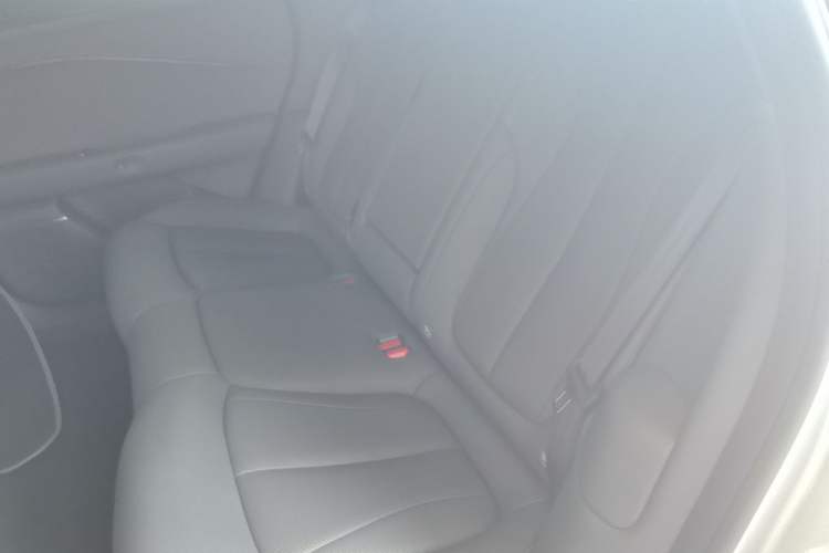 Used XPeng P7+ 2024 Long-Range Max Left Rear Seat