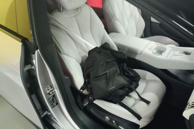 Used XPeng P7+ 2024 Ultra-Long Range Max Right Front Seat
