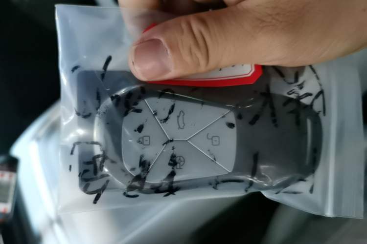Used XPeng P7+ 2024 Long-Range Max Vehicle Key