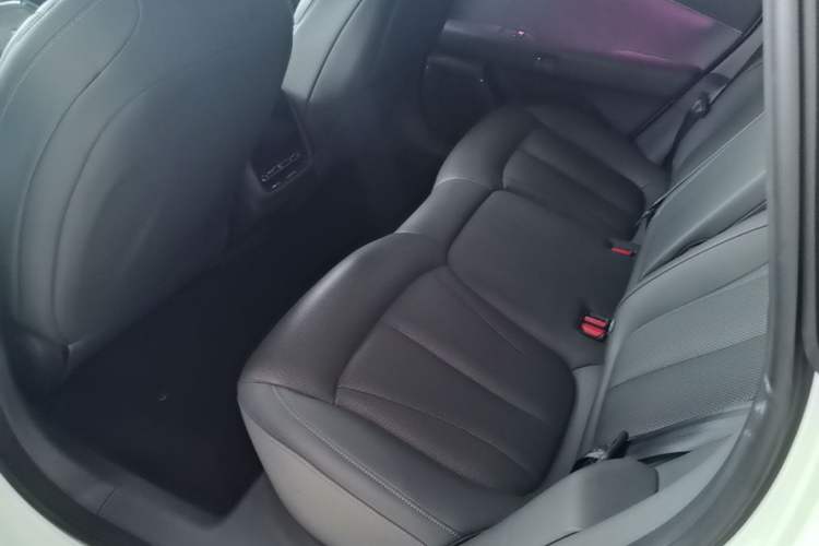 Used XPeng P7+ 2024 Long-Range Max Left Rear Seat