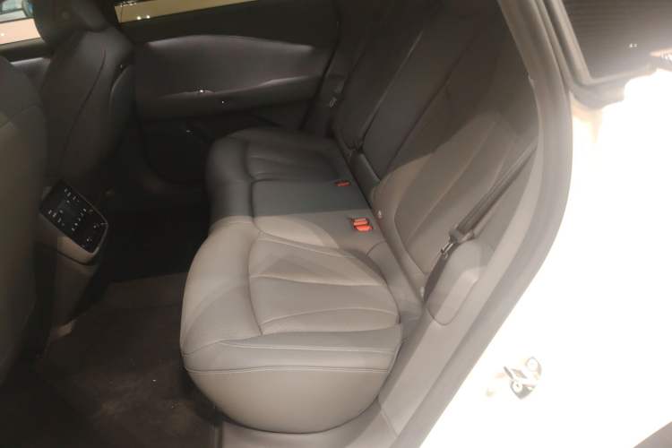 Used XPeng P7+ 2024 Long-Range Max Left Rear Seat
