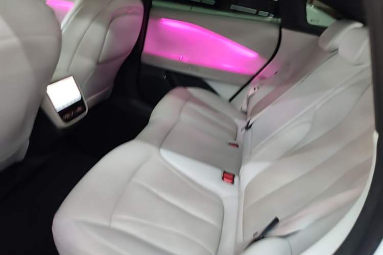 Used XPeng P7+ 2024 Long-Range Max Left Rear Seat