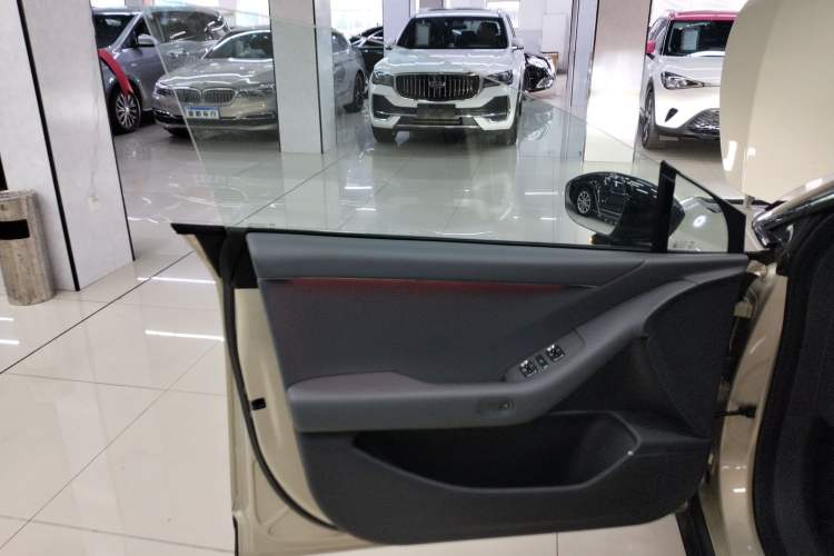 Used XPeng P7+ 2024 Long-Range Max Left Front Door Interior