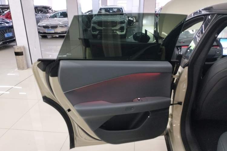 Used XPeng P7+ 2024 Long-Range Max Left Rear Door Interior