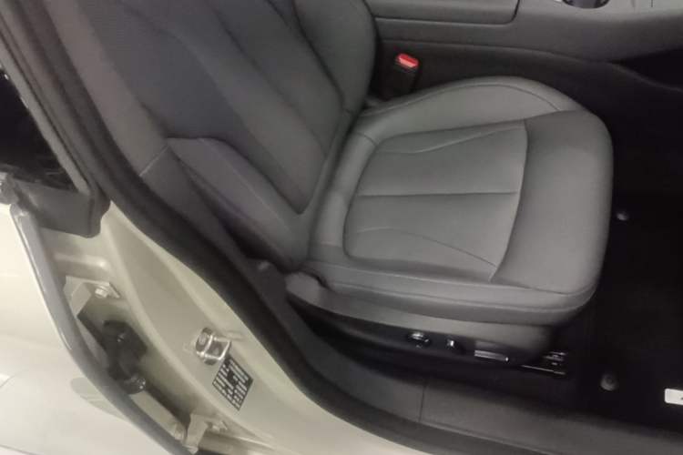 Used XPeng P7+ 2024 Long-Range Max Right Front Seat