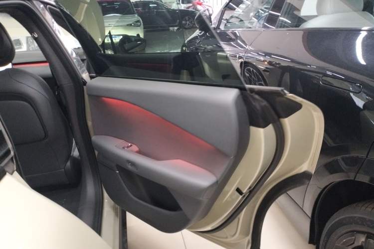 Used XPeng P7+ 2024 Long-Range Max Right Rear Door Interior