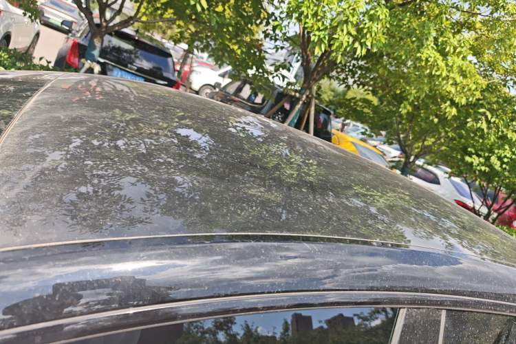 Used XPeng P7+ 2024 Long-Range Max Roof