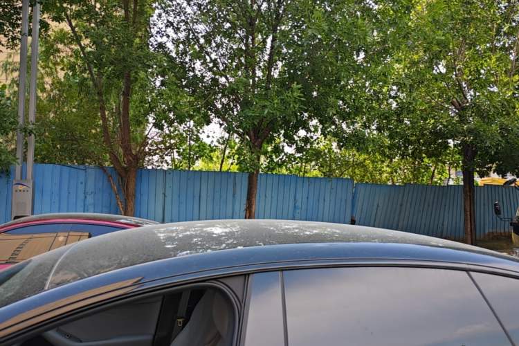 Used XPeng P7+ 2026 Model, Range-Extended 1550 Max Flagship Edition Roof