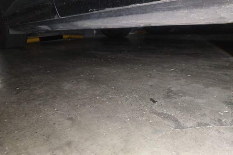 Used XPeng X9 2024 702 Ultra-Long Range Max Chassis Front Right