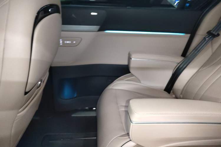 Used XPeng X9 2024 702 Ultra-Long Range Max Left Rear Door Interior
