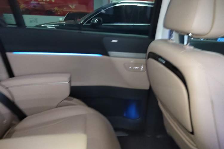 Used XPeng X9 2024 702 Ultra-Long Range Max Right Rear Door Interior