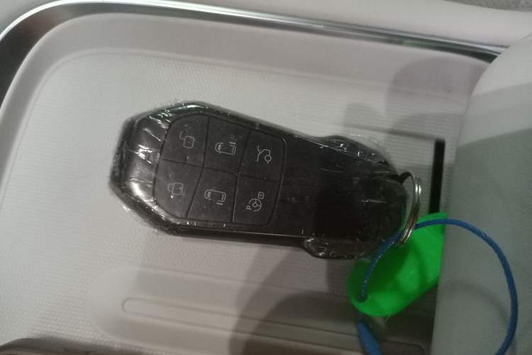 Used XPeng X9 2024 640 All-Wheel Drive High-Performance Max Vehicle Key