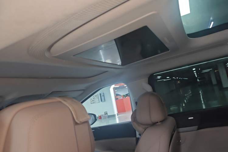 Used XPeng X9 2024 640 All-Wheel Drive High-Performance Max Headliner