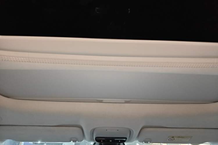 Used XPeng X9 2024 610 Long-Range Pro Headliner