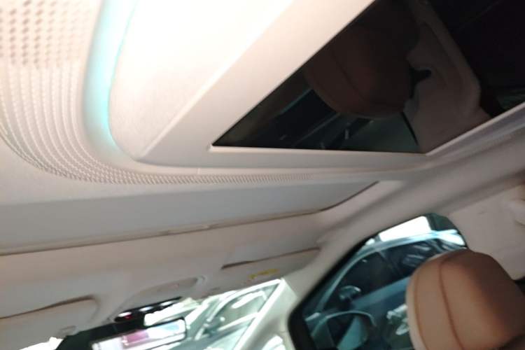 Used XPeng X9 2024 610 Long-Range Pro Headliner