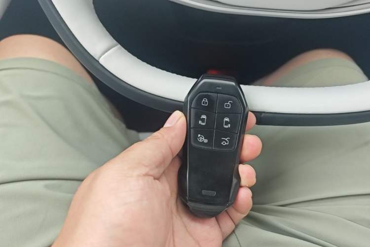 Used XPeng X9 2024 640 All-Wheel Drive High-Performance Max Vehicle Key
