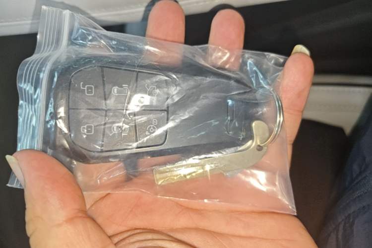 Used XPeng X9 2024 702 Ultra-Long Range Max Vehicle Key