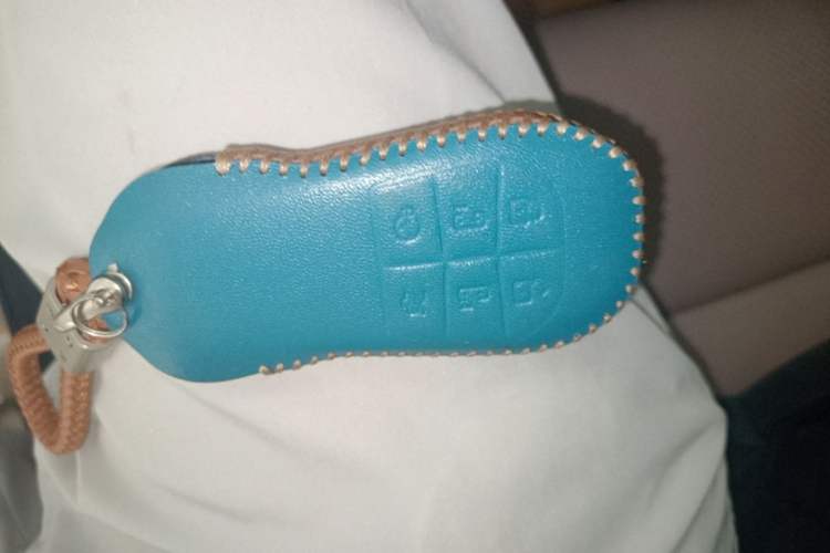 Used XPeng X9 2024 702 Ultra-Long Range Max Vehicle Key