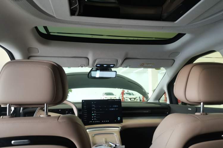 Used XPeng X9  Headliner
