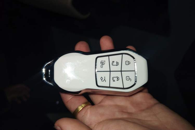 Used XPeng X9 2025 650 Long-Range Max Vehicle Key