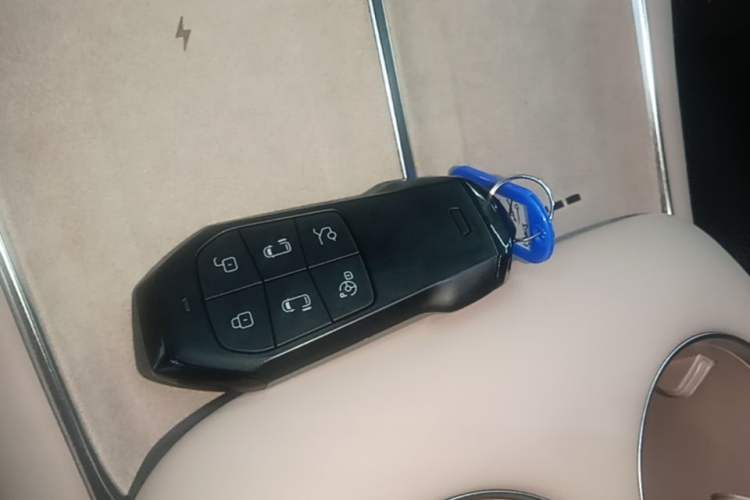 Used XPeng X9 2025 650 Long-Range Max Vehicle Key