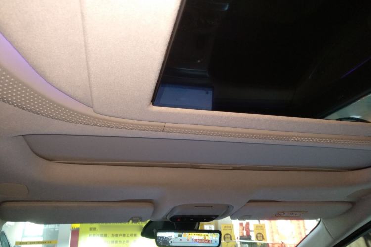 Used XPeng X9  Headliner