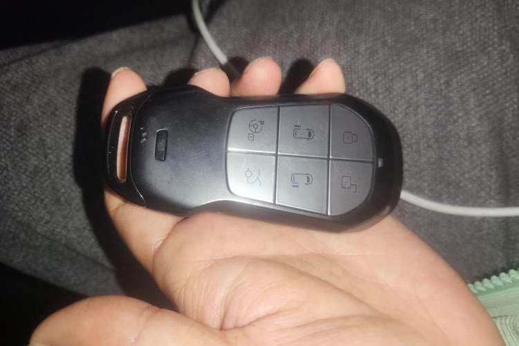 Used XPeng X9 2026 Model—Range-Extended Version 1602 Ultra Interior 1
