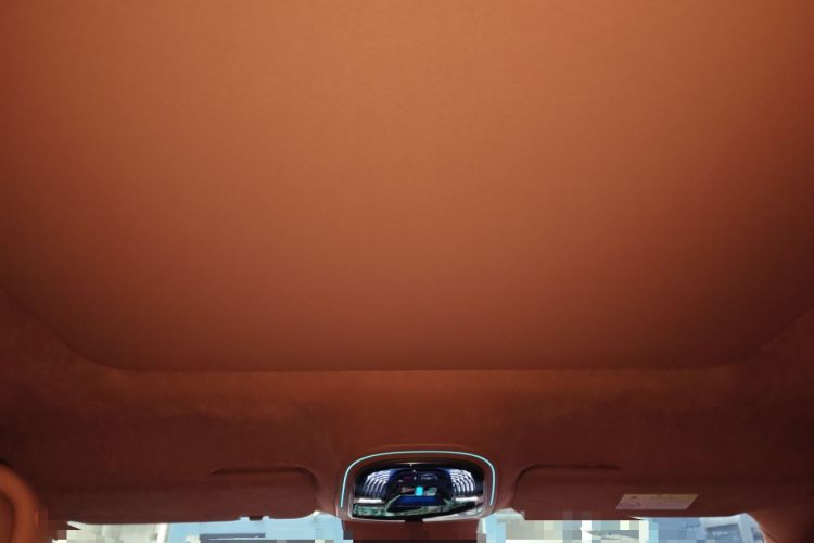 Used Yangwang U8 2023 Luxury Edition Headliner