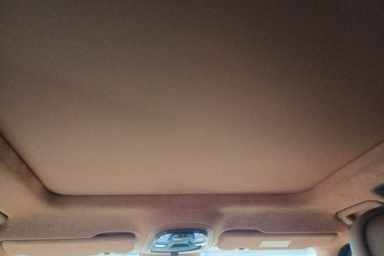 Used Yangwang U8 2023 Luxury Edition Headliner