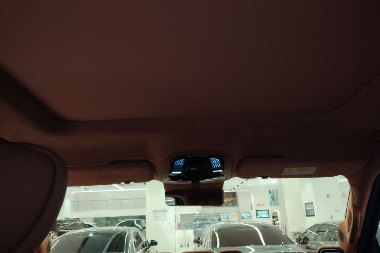 Used Yangwang U8 2023 Luxury Edition Headliner