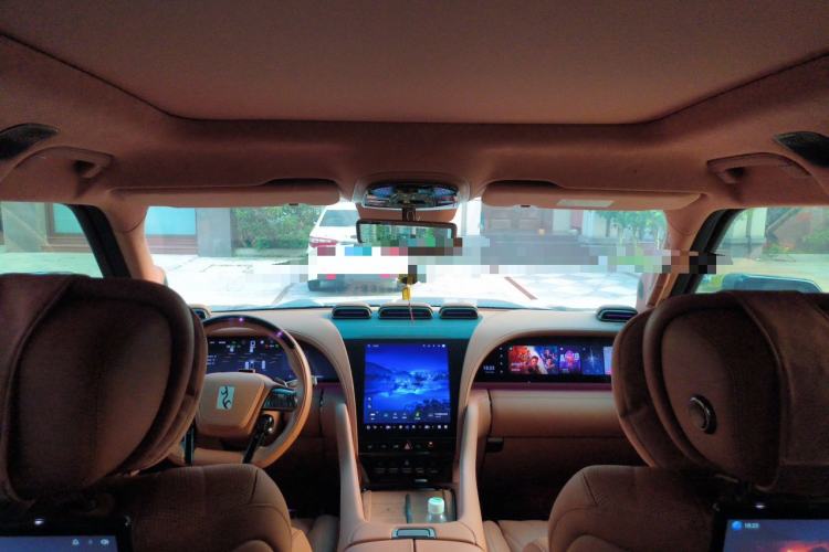 Used Yangwang U8 2023 Luxury Edition Headliner