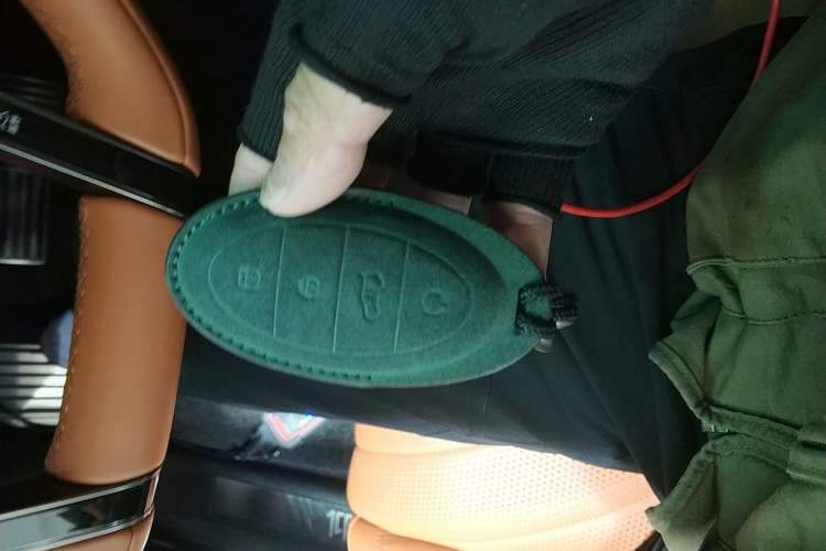 Used Yangwang U8 2023 Luxury Edition Interior 1