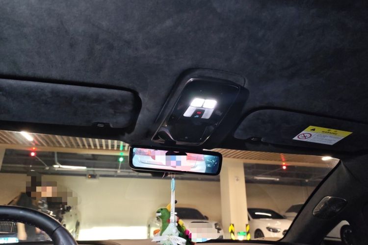 Used Yangwang U9 2024 Standard Edition Headliner