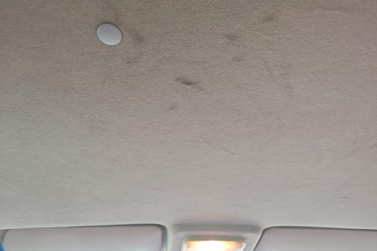 Used Yema F12 2014 1.5L Manual Headliner