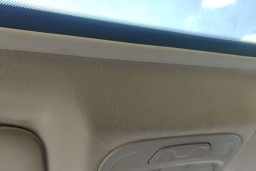Thumbnail 21