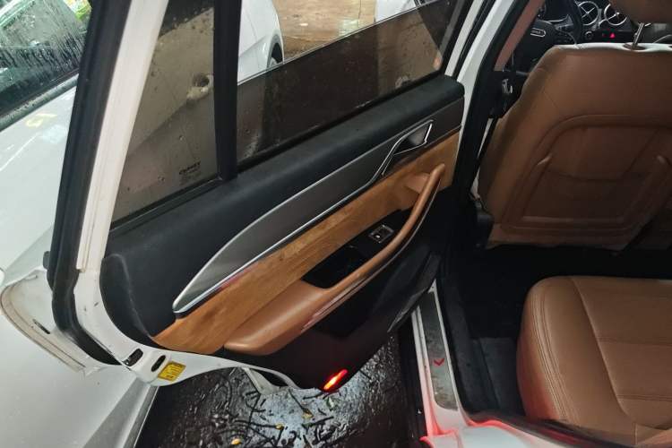 Used Yema T80 2017 1.5T Manual Xuan Dong Edition Left Rear Door Interior