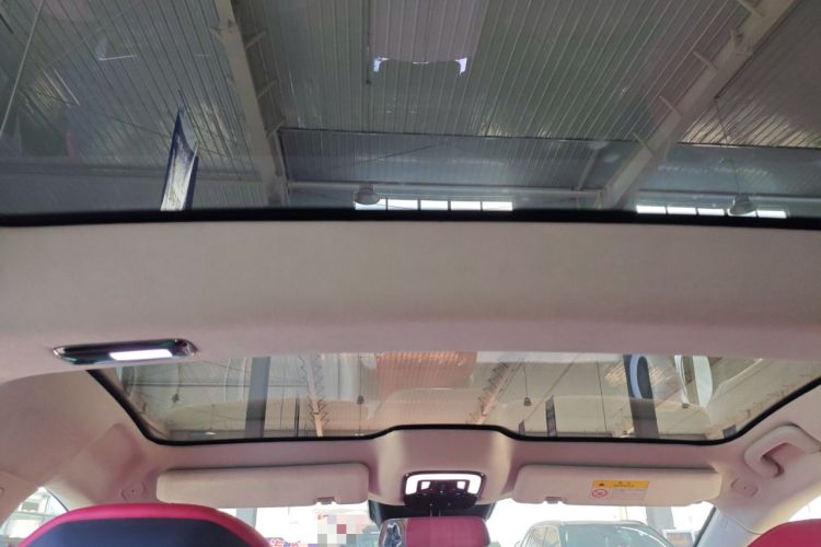 Used Yuanhang Y6 2023 720 km Range Rear-Drive Luxury Version Headliner