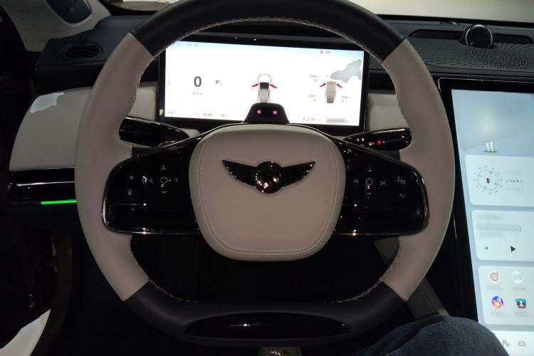 Used Yuanhang Y6 2023 720 km Range Rear-Drive Luxury Version Steering Wheel