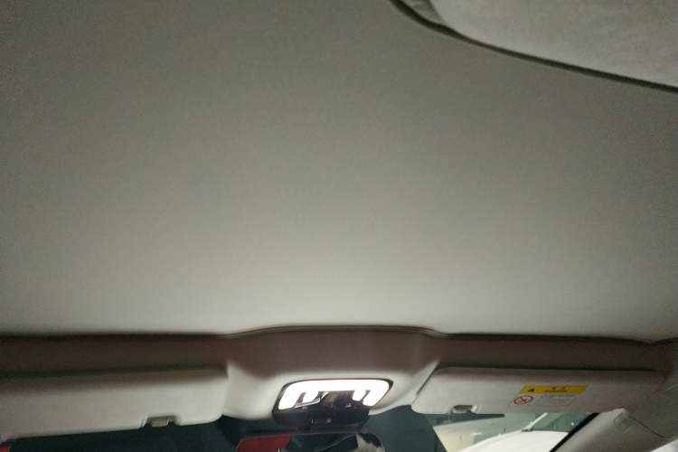 Used Yuanhang Y6 2024 720 km Rear-Drive Luxury Version Headliner