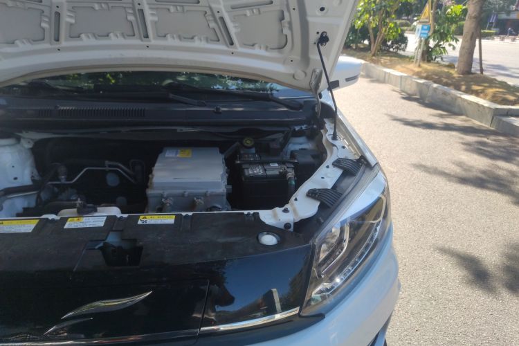 Used Yudo π1 2020 Pro Long-Distance Edition LePai Model Engine Bay Left