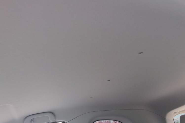 Used ZEDRIV GC2 2020 ZhiXing 450P (4-seater) Headliner