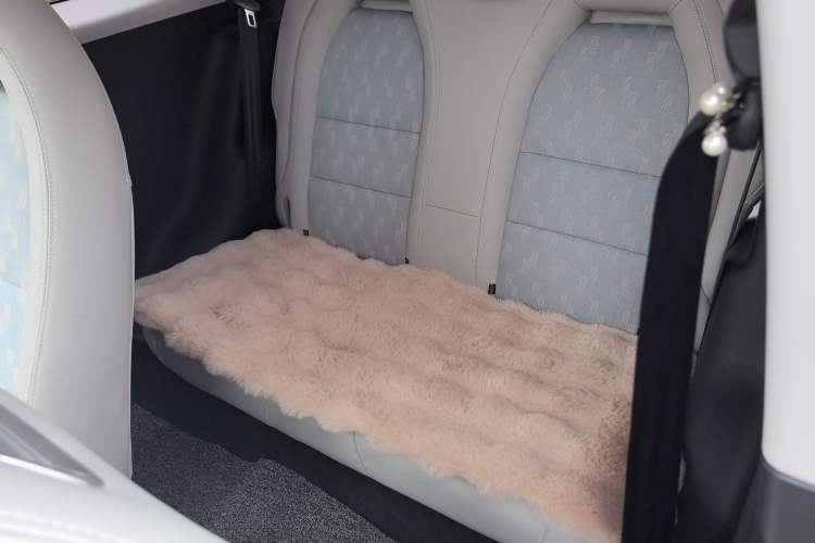 Used ZEDRIV GC2 2020 ZhiXing 450P (4-seater) Left Rear Seat