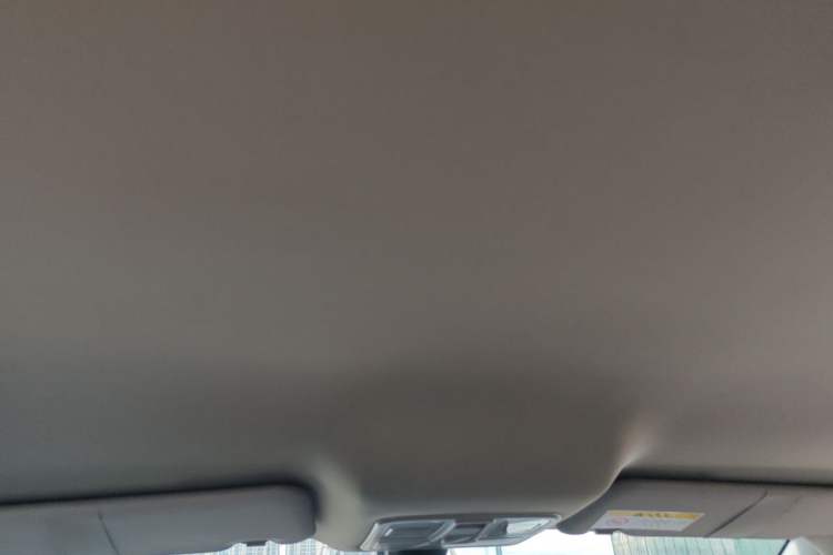 Used ZEDRIV GX5 2020 Zhiyue 430P Headliner