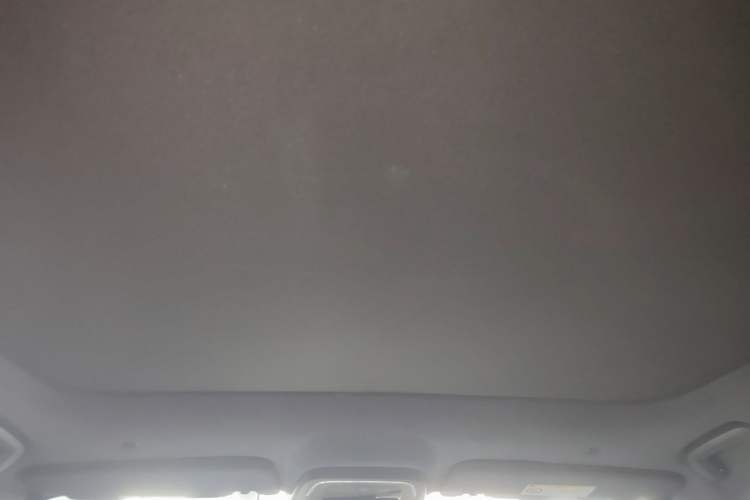 Used Zeekr 001 2021 Ultra-Long Range Single-Motor WE Edition Headliner
