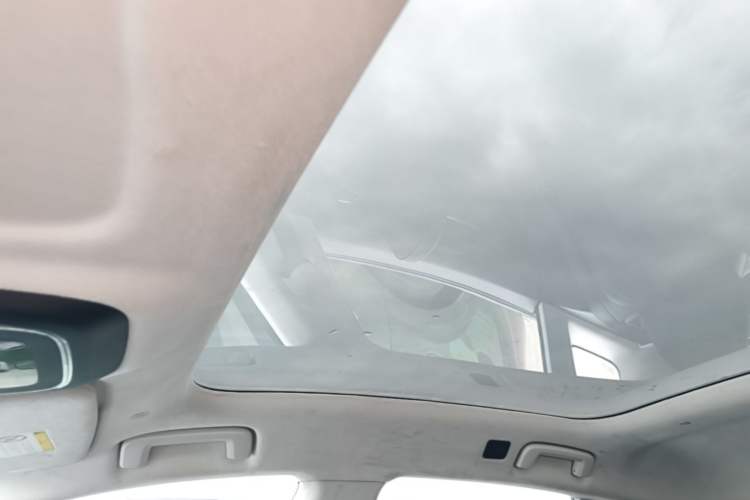 Used Zeekr 001 2021 Ultra-Long Range Single-Motor WE Edition Headliner