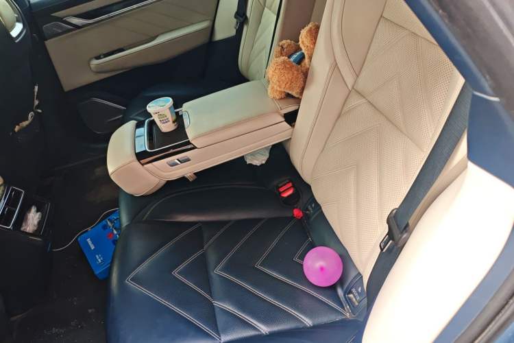 Used Zeekr 001 2021 Long-Range Dual-Motor WE Edition Left Rear Seat