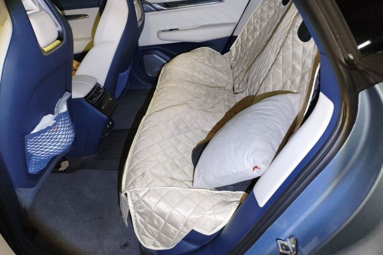 Used Zeekr 001 2021 Ultra-Long Range Dual-Motor YOU Version Left Rear Seat