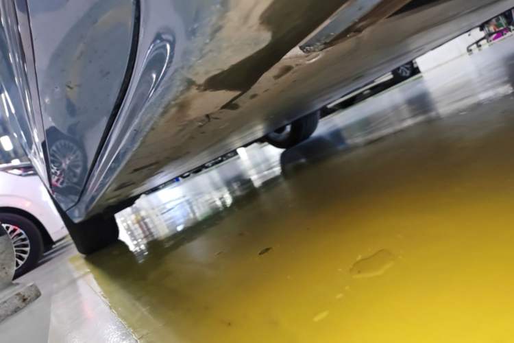 Used Zeekr 001 2021 Long-Range Dual-Motor WE Edition Right Side Sill